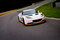 Small_lotus-evora