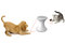 Small_laser-chase-toy