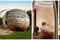 Small_the-archipod-2