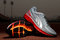 Small_puma-bioweb-elite-2