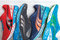 Small_puma-bioweb-3