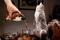 Small_end-of-history-brewdog-1