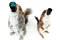 Small_end-of-history-brewdog-3