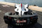Small_grid2-bac-mono-limited-eidtion-3
