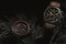 Small_tudor-ducati-fastrider-black-shield-3