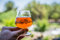 Small_beer-russian-river-pliny-the-younger-2