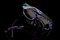 Small_9five-2013-rio-limited-collection-watson-kls2-2