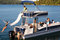Small_avalon-deco-funship-fun-ship-2