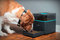Small_pintofeed-automatic-pet-feeder-2